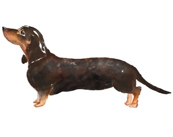 Dachshund Dog Wall Decal