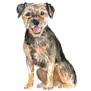 Border Terrier Dog Wall Decal