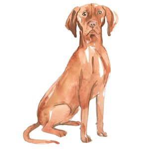 Hungarian Vizsla Dog Wall Decal