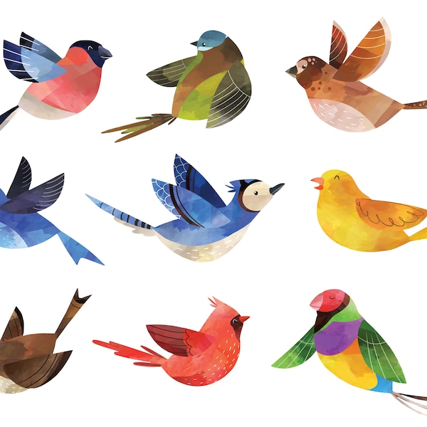 Bird Wall Mural - Etsy