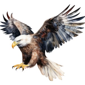 Bald Eagle Wall Sticker - Laptop - Car Decal