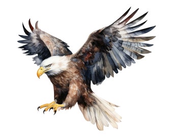 Bald Eagle Wall Sticker - Laptop - Car Decal