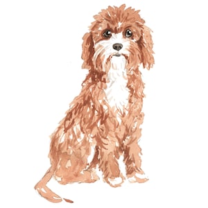 Cavapoo Dog Wall Decal