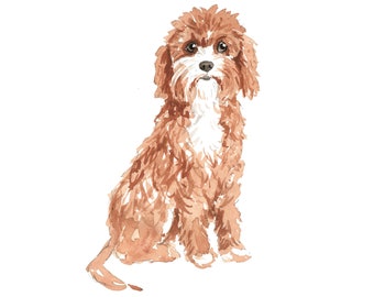 Cavapoo Hunde Wandtatko