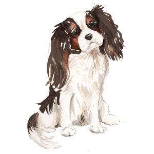 Cavalier King Charles Spaniel Dog Wall Decal (Tri-color)