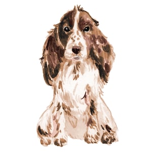 Cocker Spaniel Dog Wall Decal (Brown and White)