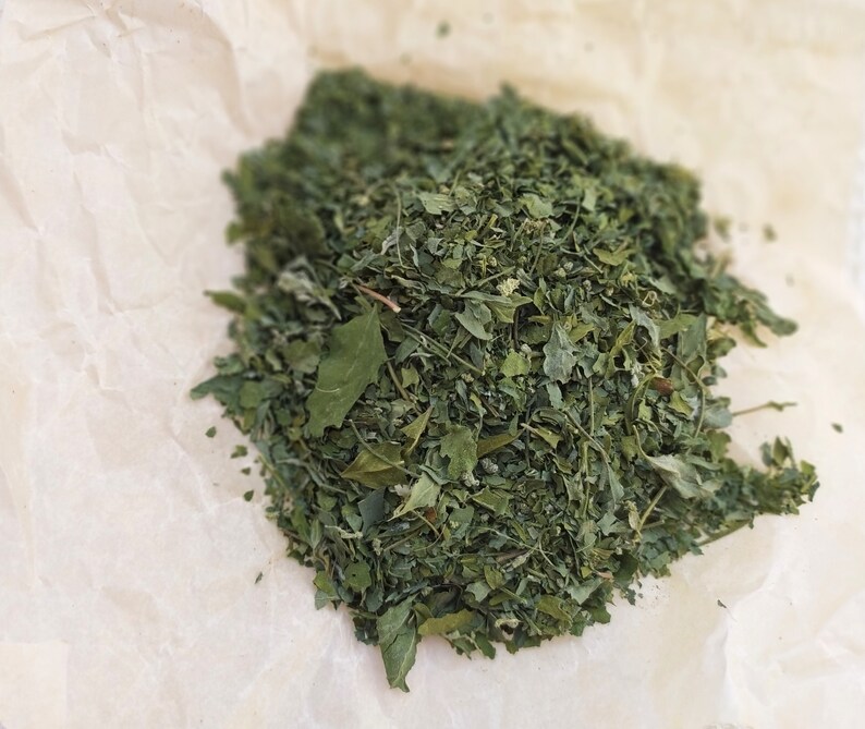 Dried сhenopodium Leaves 10, 25 g. Handpicked dried herbs, spices. Organic, wildharvested. Goosefoots, Wild Spinach, Lamb's Quarters imagem 8