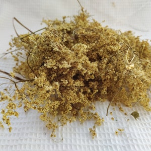 Elderflower 25, 50 g. Organic Elderberry flower tea dry. Handpicked and dried organic herbs. Herbal tea. Nigra Sambucus. Metaphyiscal supply