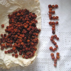 Dried Organic Rowan berries 50 g or 100 g, Mountain Ash berries  (Sorbus aucuparia) fruit herbal tea