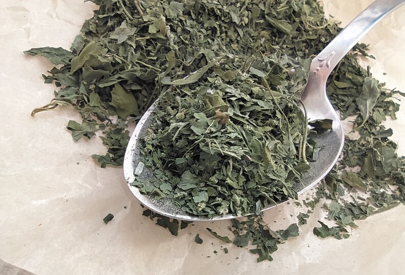 Dried сhenopodium Leaves 10, 25 g. Handpicked dried herbs, spices. Organic, wildharvested. Goosefoots, Wild Spinach, Lamb's Quarters imagem 6