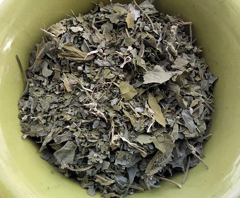 Dried сhenopodium Leaves 10, 25 g. Handpicked dried herbs, spices. Organic, wildharvested. Goosefoots, Wild Spinach, Lamb's Quarters imagem 3