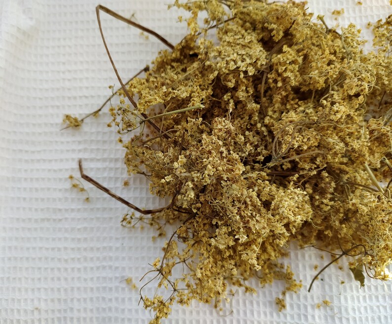 Elderflower 25 50 G. Organic Elderberry Flower Tea Dry. Etsy