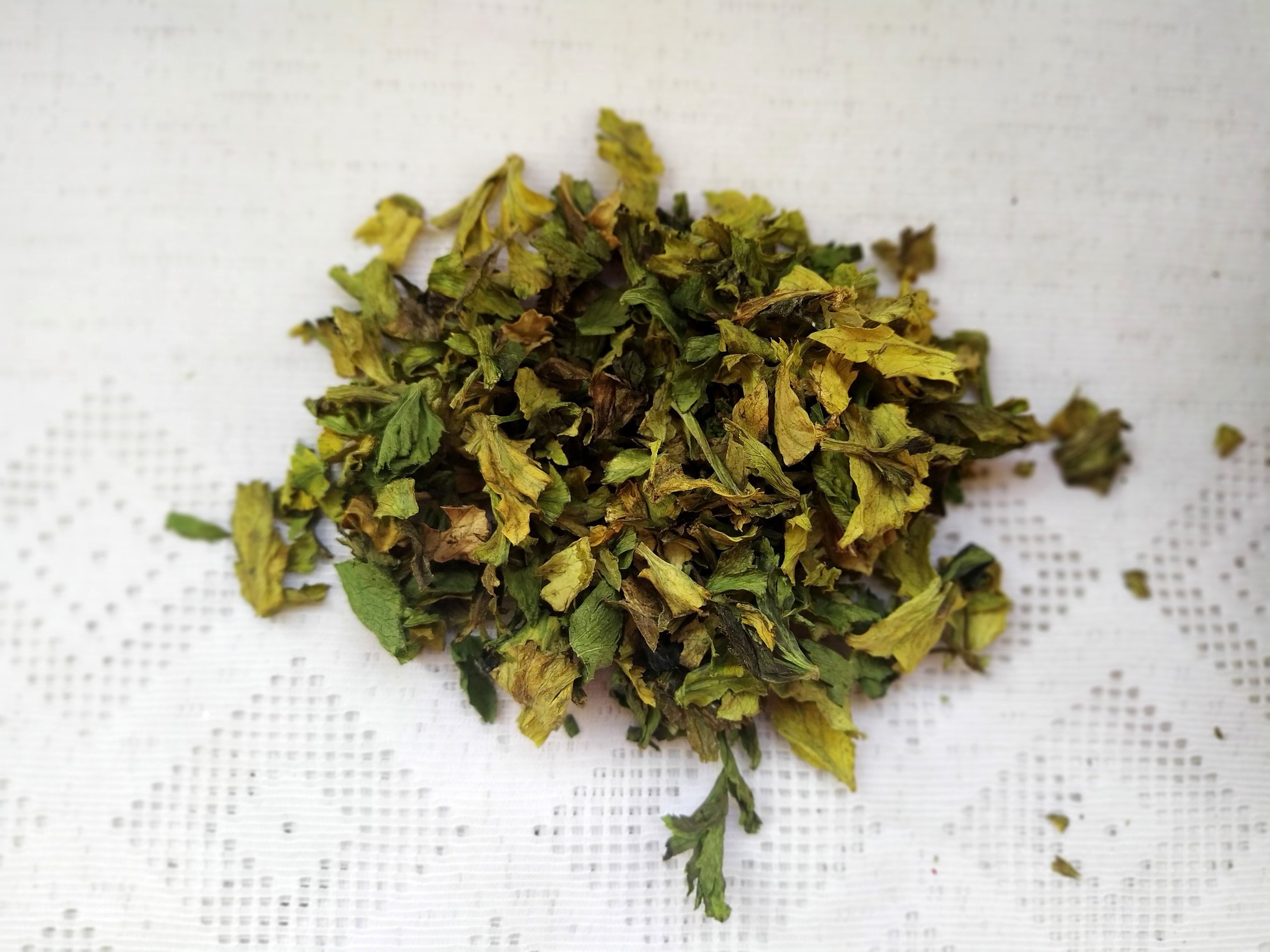 Dried Celery Leaves 10, 25 or 50 G. Apium Graveolens Var. Secalinum. Picked and Dried Herbs