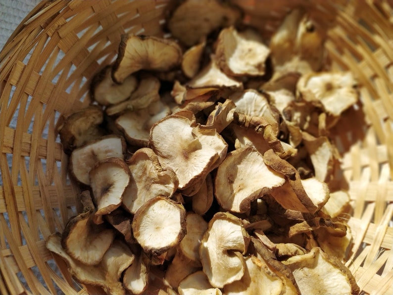 Dried Jerusalem Artichoke flakes 50, 100 g. Sunchoke, sunroots, topinambur, earth apple chips. Organic, home grown. Helianthus tuberosus image 3