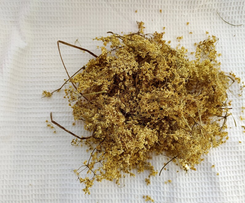 Elderflower 25 50 G. Organic Elderberry Flower Tea Dry. Etsy