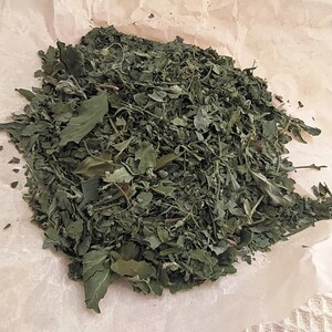 Dried сhenopodium Leaves 10, 25 g. Handpicked dried herbs, spices. Organic, wildharvested. Goosefoots, Wild Spinach, Lamb's Quarters imagem 7