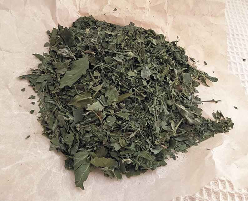 Dried сhenopodium Leaves 10, 25 g. Handpicked dried herbs, spices. Organic, wildharvested. Goosefoots, Wild Spinach, Lamb's Quarters imagem 7