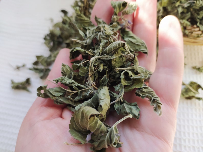 Dried mint leaves 10 25 50 g. Organic dried peppermint. Etsy