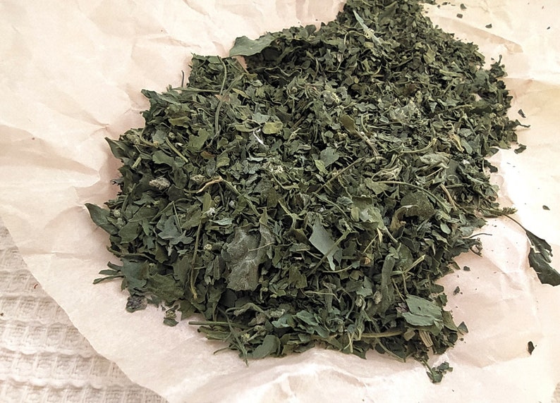 Dried сhenopodium Leaves 10, 25 g. Handpicked dried herbs, spices. Organic, wildharvested. Goosefoots, Wild Spinach, Lamb's Quarters imagem 4