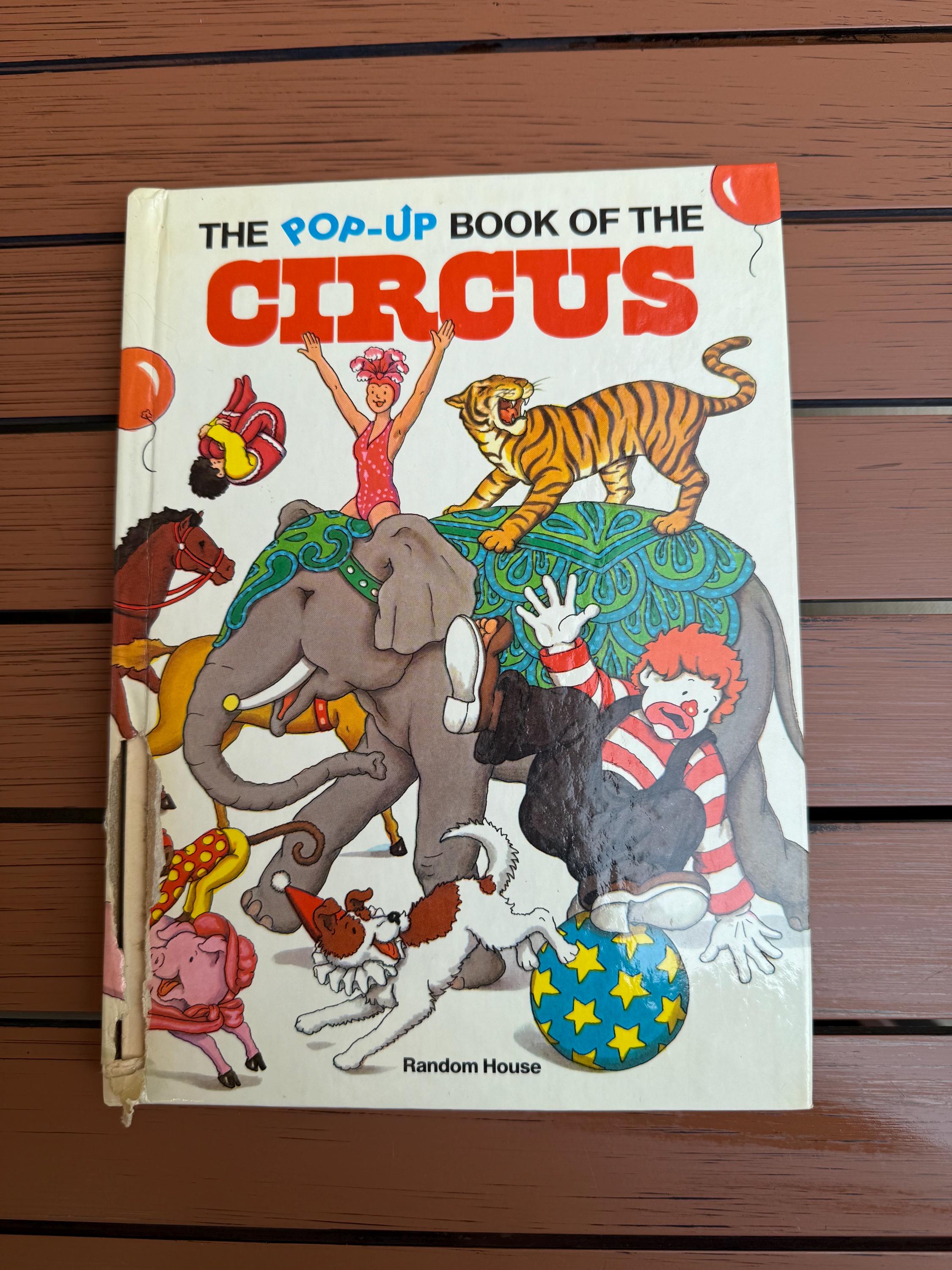 Pop up Circus Book - Etsy