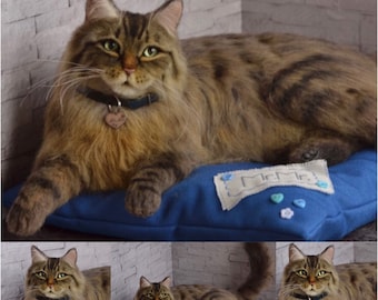 Nadel gefilzte Katze Maine-Coon-Katze realistische lebengroße Skulptur langhaarige Katze