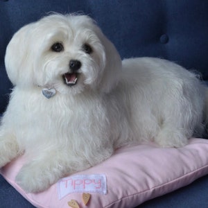 Maltese Dog Needle felted Sculpture Pet replica Custom pet figurine Pet loss memorial Personalized pet art Realistic ooak dog Wool art toys
