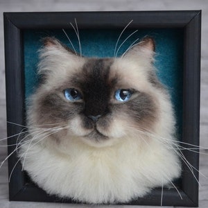 Pode incluir: Um close-up de uma cabe&ccedil;a de gato feltrada com agulha com olhos azuis, p&ecirc;lo branco e marcas cinzas. A cabe&ccedil;a do gato est&aacute; enquadrada em uma moldura preta com um fundo azul turquesa.