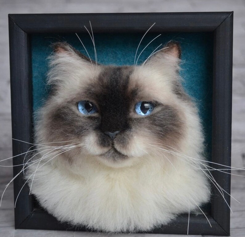 Pode incluir: Um close-up de uma cabe&ccedil;a de gato feltrada com agulha com olhos azuis, p&ecirc;lo branco e marcas cinzas. A cabe&ccedil;a do gato est&aacute; enquadrada em uma moldura preta com um fundo azul turquesa.