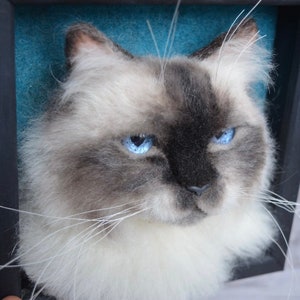 Pode incluir: Close-up de uma cabe&ccedil;a de gato feltrada com agulha com olhos azuis. O gato &eacute; branco com marcas cinzas e tem longos bigodes brancos. A cabe&ccedil;a do gato est&aacute; enquadrada em uma moldura preta.