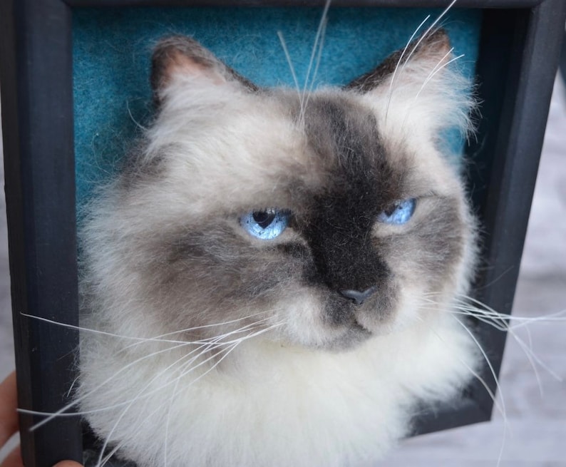 Pode incluir: Close-up de uma cabe&ccedil;a de gato feltrada com agulha com olhos azuis. O gato &eacute; branco com marcas cinzas e tem longos bigodes brancos. A cabe&ccedil;a do gato est&aacute; enquadrada em uma moldura preta.
