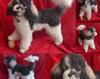 Custom Toy Poodle Artist Needle Felted Dog Sculpture Memory pet Portrait Sculpture of your pet Dog replica dog wool animal