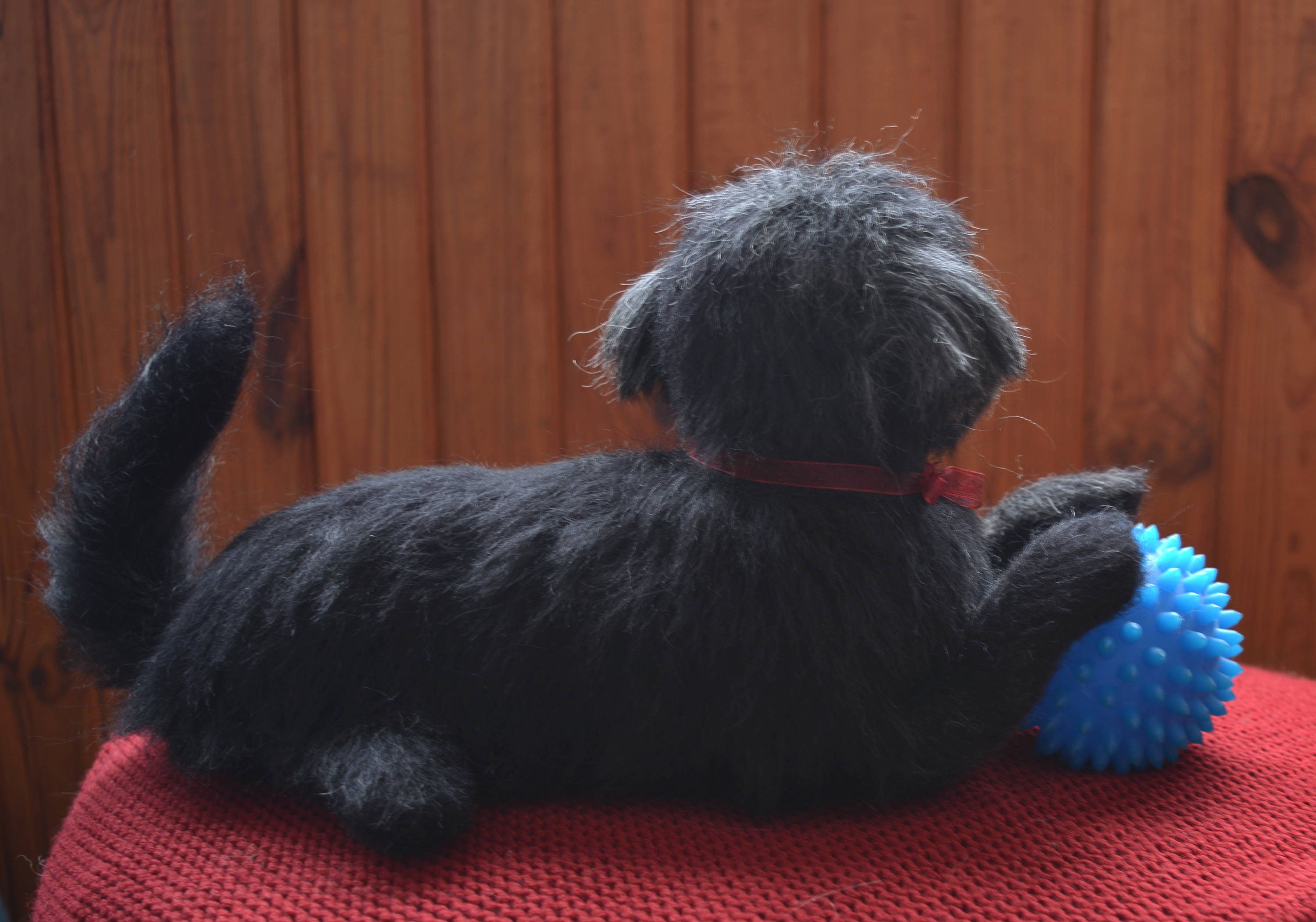Shih Tzu Yorkie Mix Needle Felted Dog Sculpture Pet Replica Dog Memory Pet  Portrait Personalized Wool Figurine Wool Art Toys 