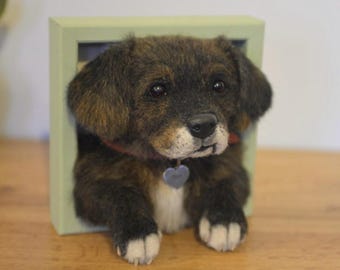 May include: A brown and black dog with white markings is peeking out of a green picture frame. The dog has a brown leather collar with a silver heart-shaped tag.