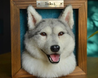 Dog portrait sculpture in frame Husky Needle felted Dog Felt Pet Shadow box pet Wool sculpture Realistic dog felt portrait Pet replica