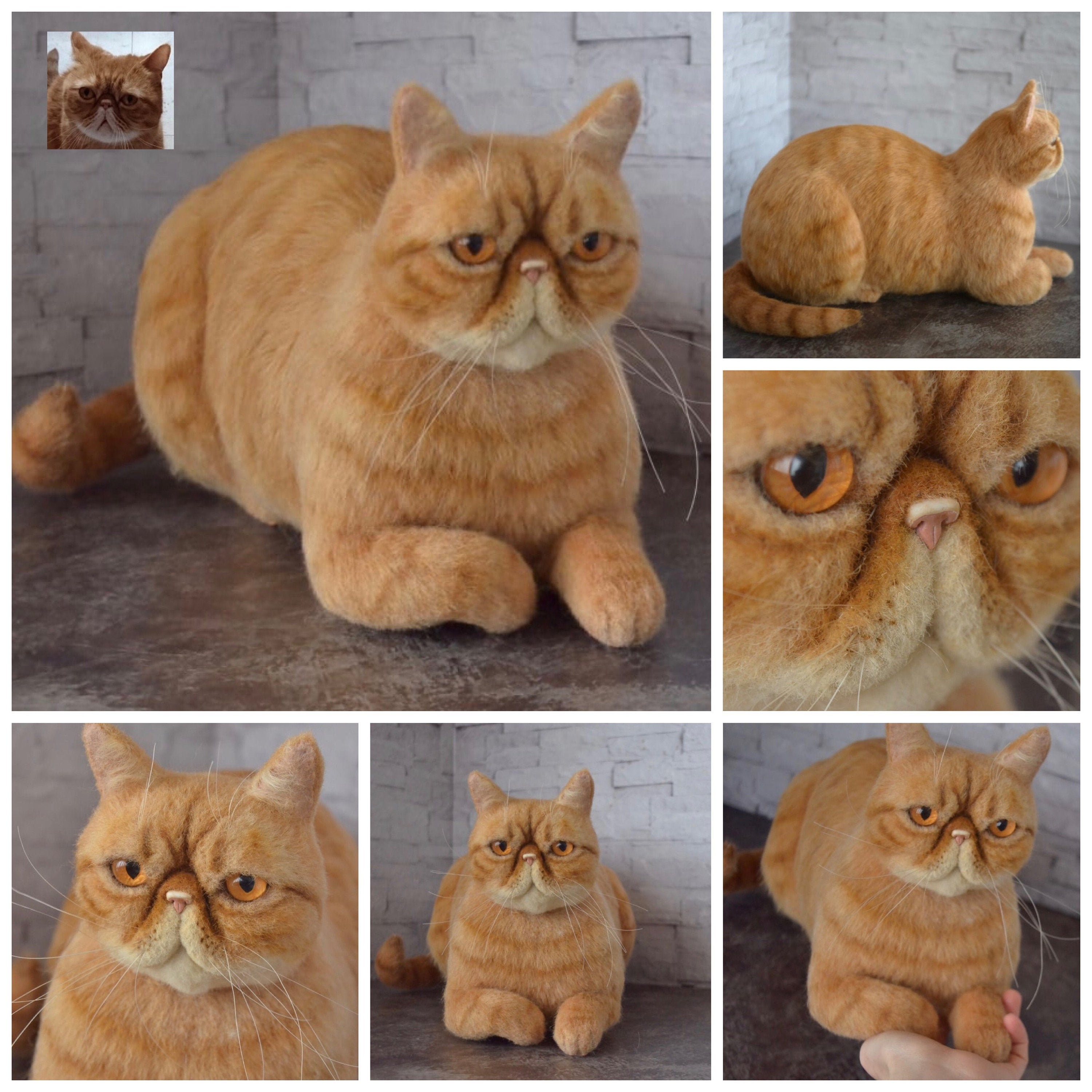 Needle Felted Exotic Shorthair Cat Life Sized Sculpture Tabby