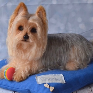 Yorkshire Terrier Needle Felted Dog Sculpture Yorkie Realistic ooak dog Personalized pet art Dog loss gift 3D felt pet portrait fiber art