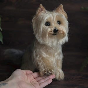 Yorkie Nadel gefilzte Hundeskulptur Haustier Nachbildung Yorkshire Terrier Hund Erinnerung Tierportrait Wollfigur Wollkunst Gefilzte Hunde Gedenkstätte OOAK