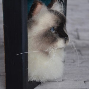 Pode incluir: Um close-up de uma cabe&ccedil;a de gato de feltro de agulha, com pelo branco e rosto cinza. O gato tem olhos azuis e est&aacute; olhando para a direita. A cabe&ccedil;a do gato est&aacute; emoldurada em uma moldura preta.