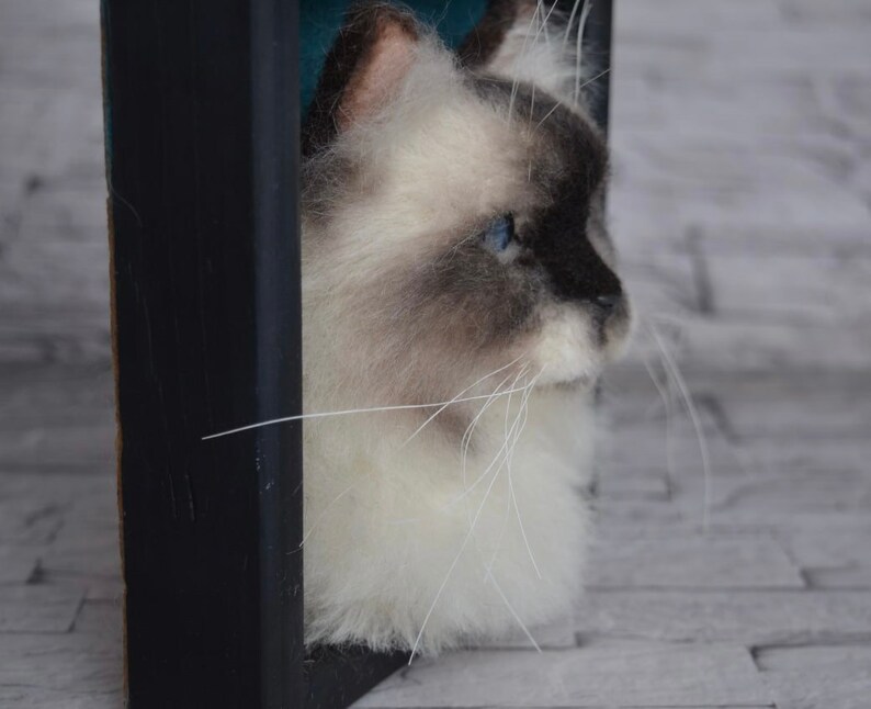 Pode incluir: Um close-up de uma cabe&ccedil;a de gato de feltro de agulha, com pelo branco e rosto cinza. O gato tem olhos azuis e est&aacute; olhando para a direita. A cabe&ccedil;a do gato est&aacute; emoldurada em uma moldura preta.