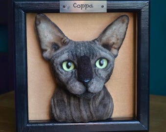 Könnte beinhalten: Ein schwarzer gerahmtes Porträt einer grauen Sphynx-Katze mit grünen Augen. Der Rahmen hat eine Metall-Namenschild mit der Aufschrift "Coppa".