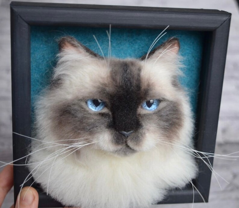 Pode incluir: Um close-up de um retrato de gato feltrado com agulha em uma moldura preta. O gato tem p&ecirc;lo branco com marcas cinzas e olhos azuis. O fundo &eacute; azul turquesa.