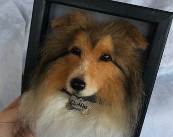 Collie Dog portrait sculpture in frame Needle felted Dog Sheltie Felt Pet Shadow box Wool sculpture Realistic dog felt portrait Pet replica