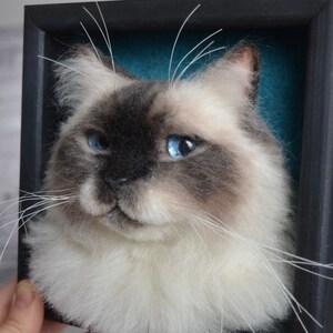 Pode incluir: Um retrato de um gato branco e cinza com olhos azuis feito com feltro de agulha. O gato est&aacute; emoldurado em uma moldura preta com um fundo azul turquesa.