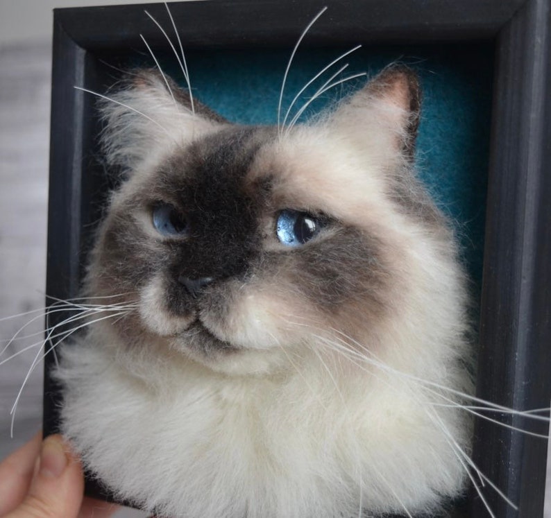 Pode incluir: Um retrato de um gato branco e cinza com olhos azuis feito com feltro de agulha. O gato est&aacute; emoldurado em uma moldura preta com um fundo azul turquesa.