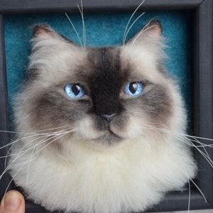 Pode incluir: Um retrato de um gato branco e cinza com olhos azuis, feito com feltro de agulha. O gato est&aacute; emoldurado em uma moldura preta com um fundo azul turquesa.