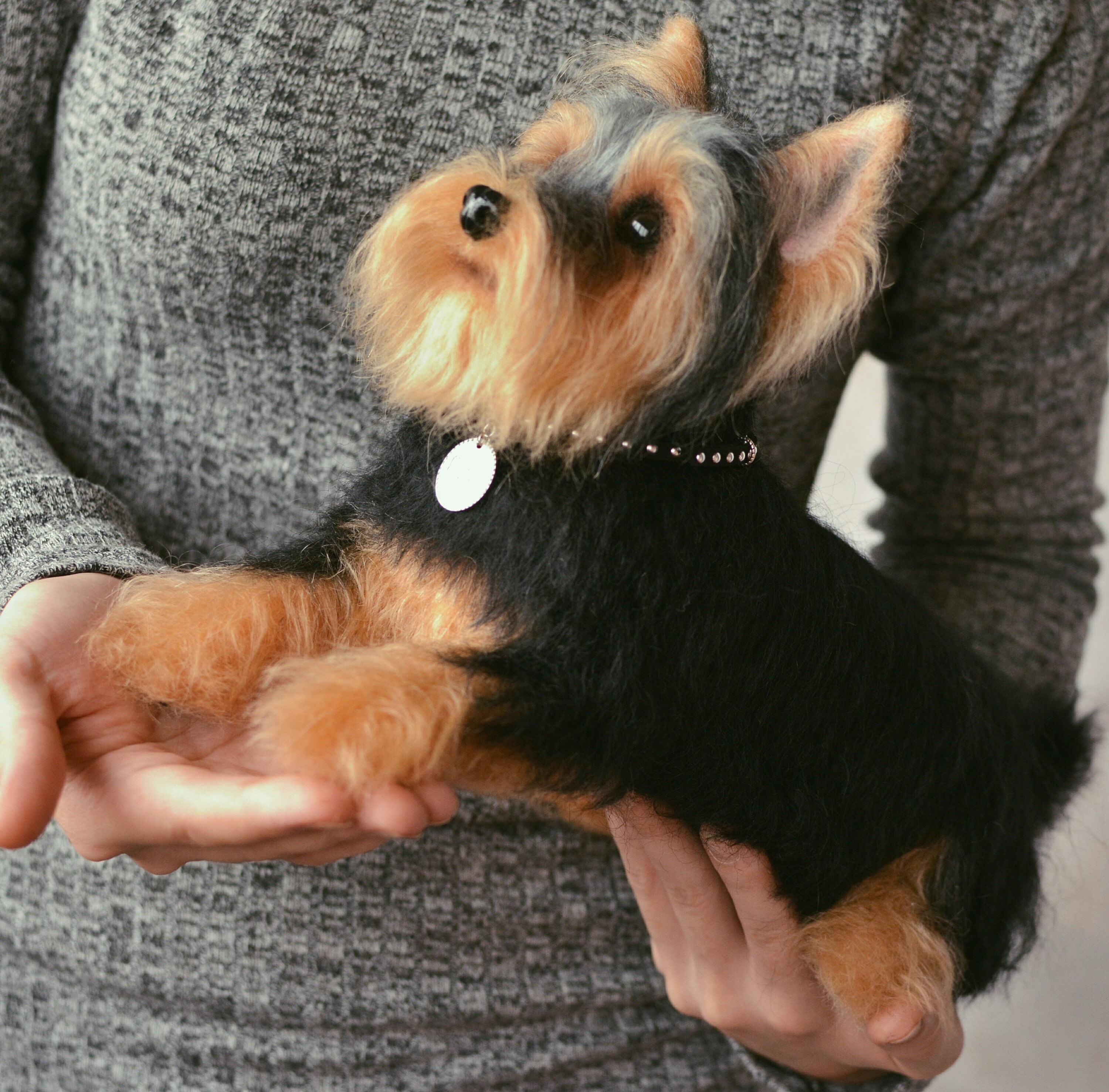 Needle felted Yorkshire Terrier Custom pet Needle Felted Dog Etsy