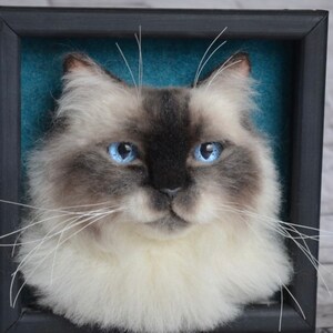 Pode incluir: Um retrato de um gato branco e cinza com olhos azuis feito com feltro de agulha. O gato est&aacute; emoldurado em uma moldura preta com um fundo azul turquesa.