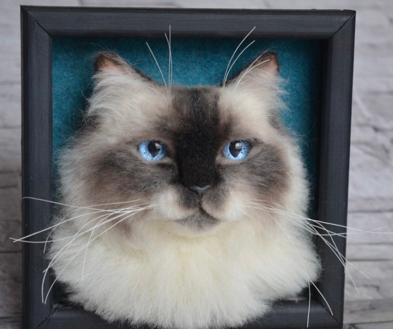 Pode incluir: Um retrato de um gato branco e cinza com olhos azuis feito com feltro de agulha. O gato est&aacute; emoldurado em uma moldura preta com um fundo azul turquesa.