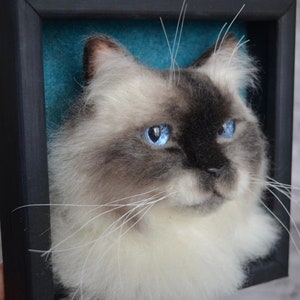 Pode incluir: Um close-up de um retrato de gato feito com feltro de agulha. O gato tem p&ecirc;lo branco com marcas cinzas e olhos azuis. O retrato est&aacute; emoldurado em uma moldura preta com um fundo azul turquesa.