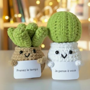 Plante Crochet – Cactus ou Succulente en Pot, Message Personnalisé, Présence Réconfortante, Cadeau de Soutien
